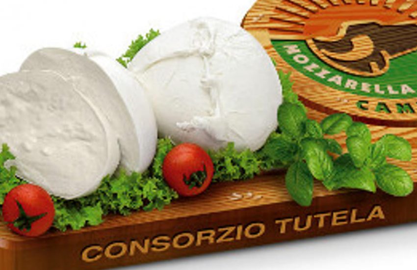 mozzarella di bufala campana dop