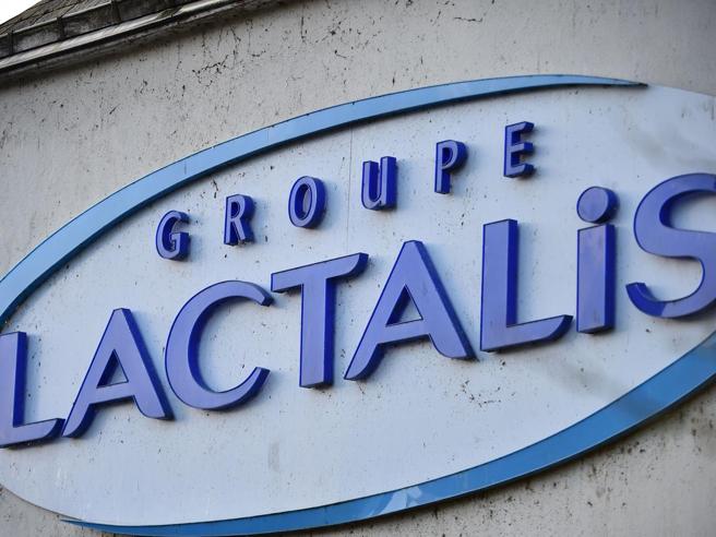 Lactalis accelera sulle proteine: brand consumer nel Regno Unito e tecnologia native whey negli Stati Uniti