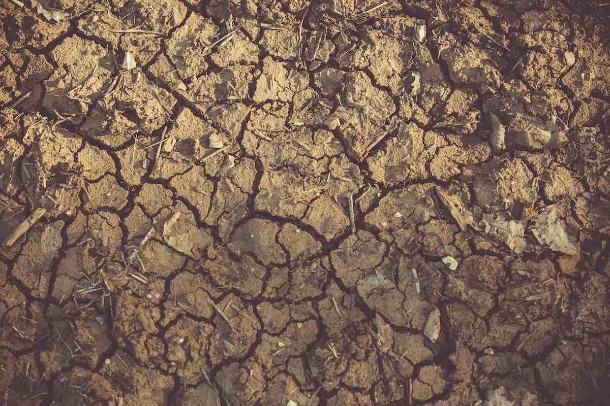 Emergenza siccità: le misure del decreto legge Aiuti bis