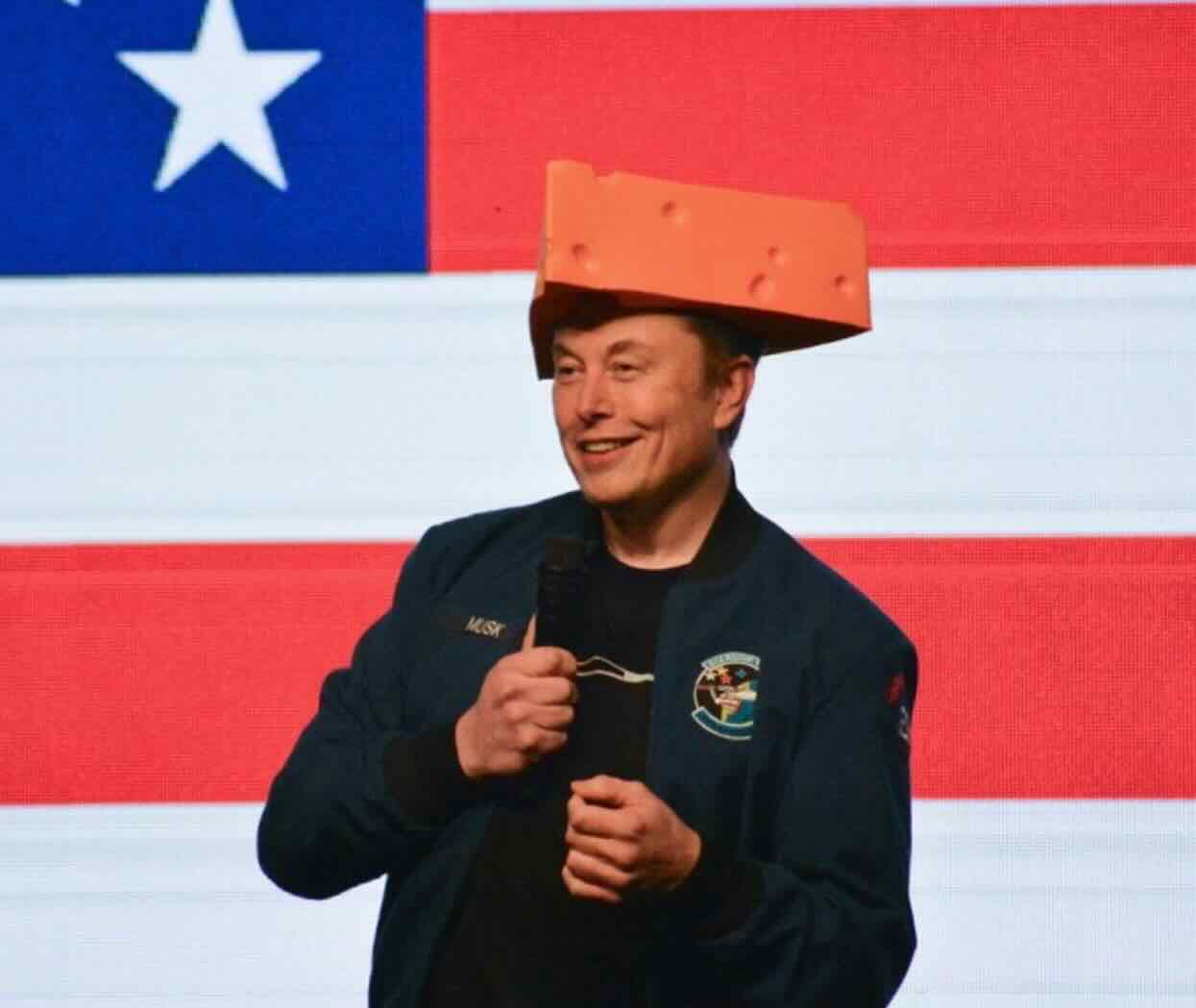 Perché Elon Musk si è messo un pezzo di formaggio in testa?