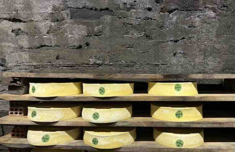 Fontina Dop: entra nel vivo la stagione dell’alpeggio. Tra caldo, pascoli e adattamento climatico