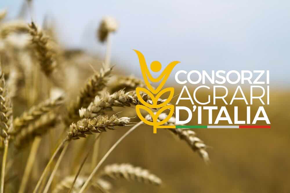 Consorzi Agrari d’Italia: aumento di capitale da 145 milioni di euro. BF resta al controllo